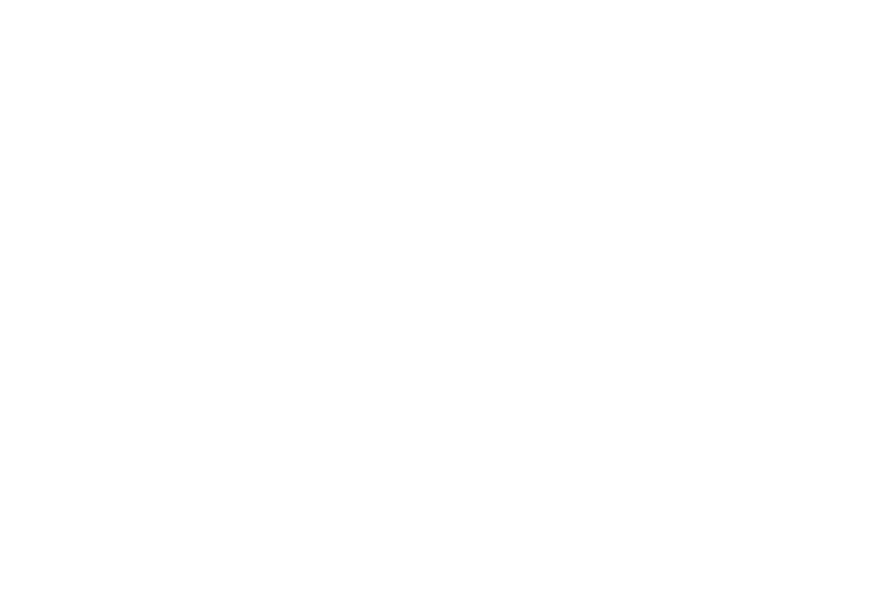 Sword & Shield, Attorneys at Law